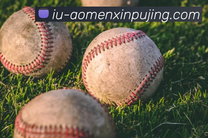 澳门新葡京娱乐服务体系